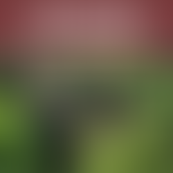 Qigong for Clarity of Mind and Instinct