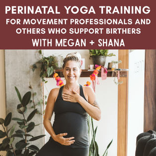 Perinatal Yoga Training