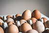 Organic Eggs