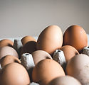 Oeufs bio