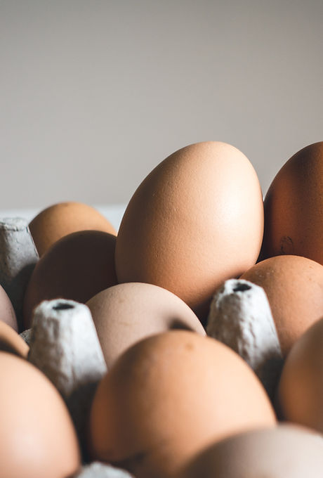 Organic Eggs