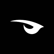 raven logo.png