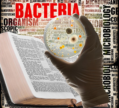 Bible Bacteria.jpg