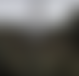 Two Years of War: The Roots of Inflation and Energy Crisis