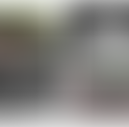 Wild Neighbors: Discovering the Animals Around Us