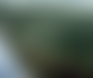 Why Seashore Plants Wither on Farmland - The Hidden Physiology of Halophytes