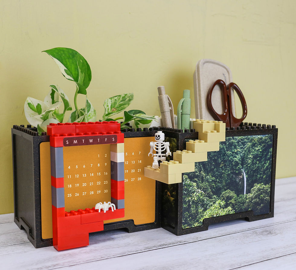 縮圖：ECO Brick