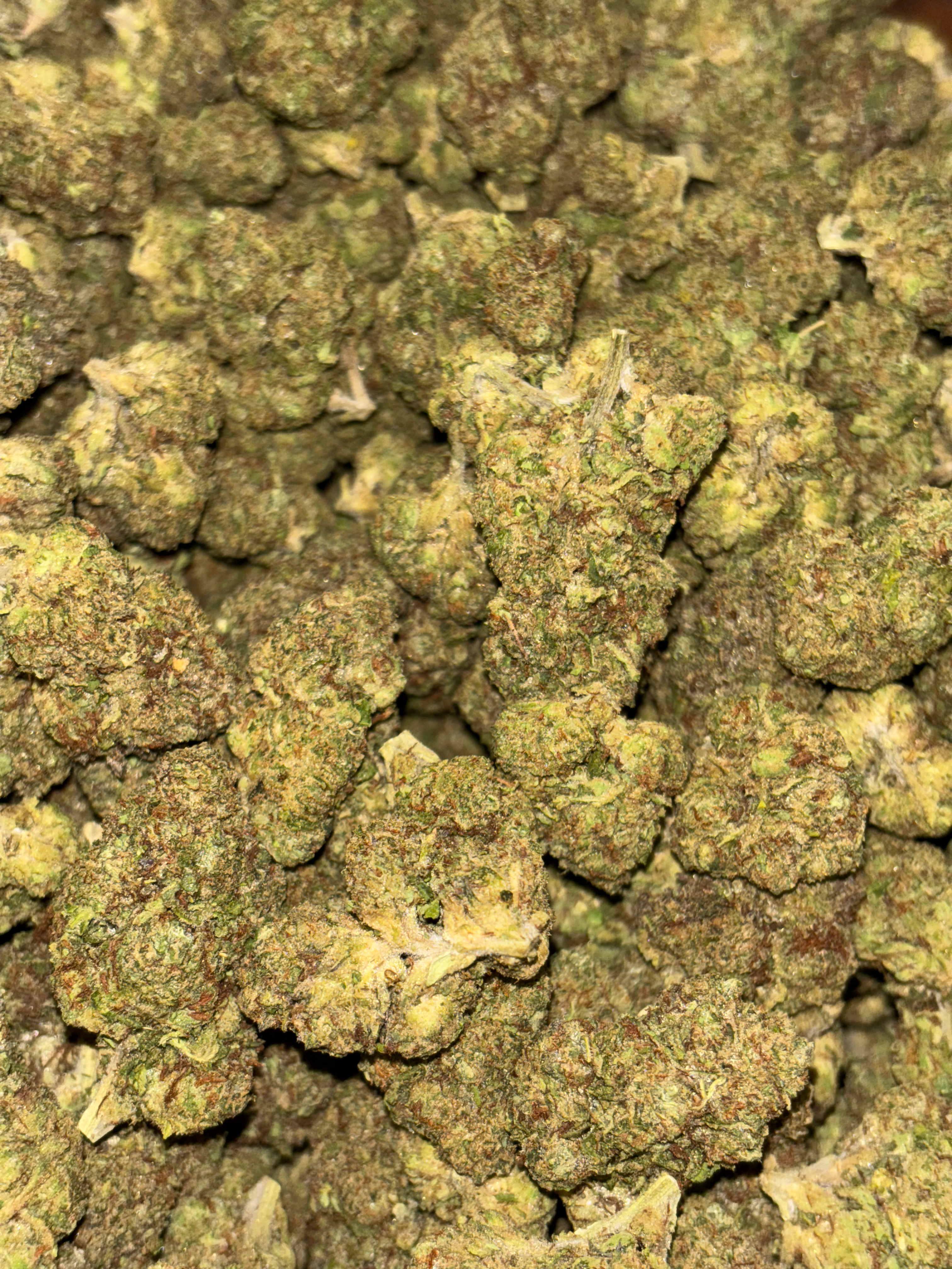 Sour Diesel-25.82%Thca