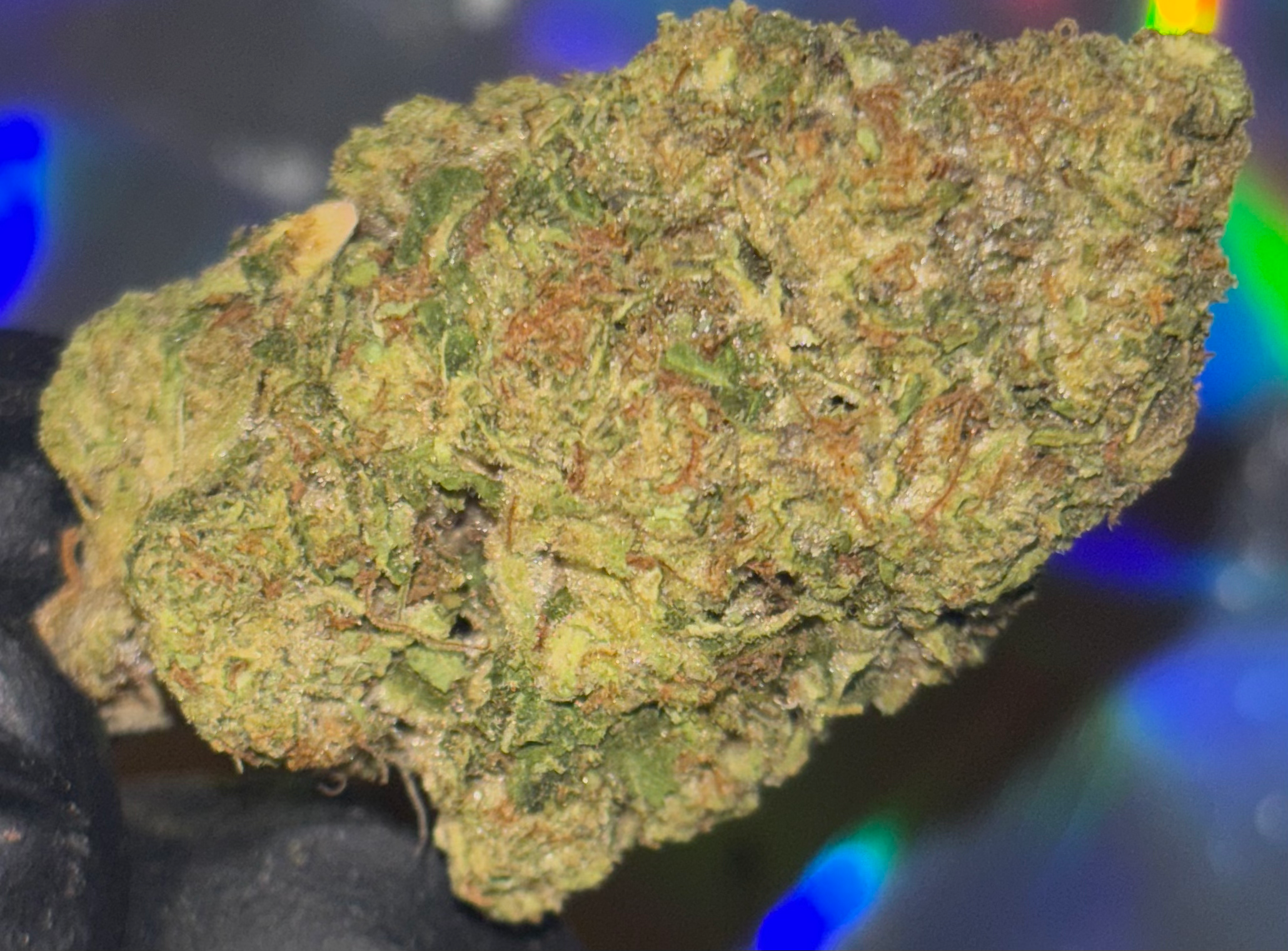 Jelly Cake-31.38Thca