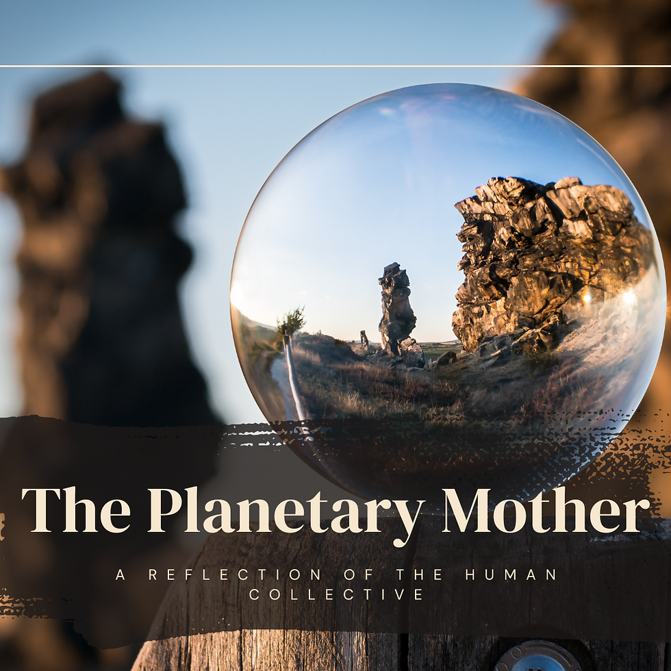 A Reflection of the Human Collective