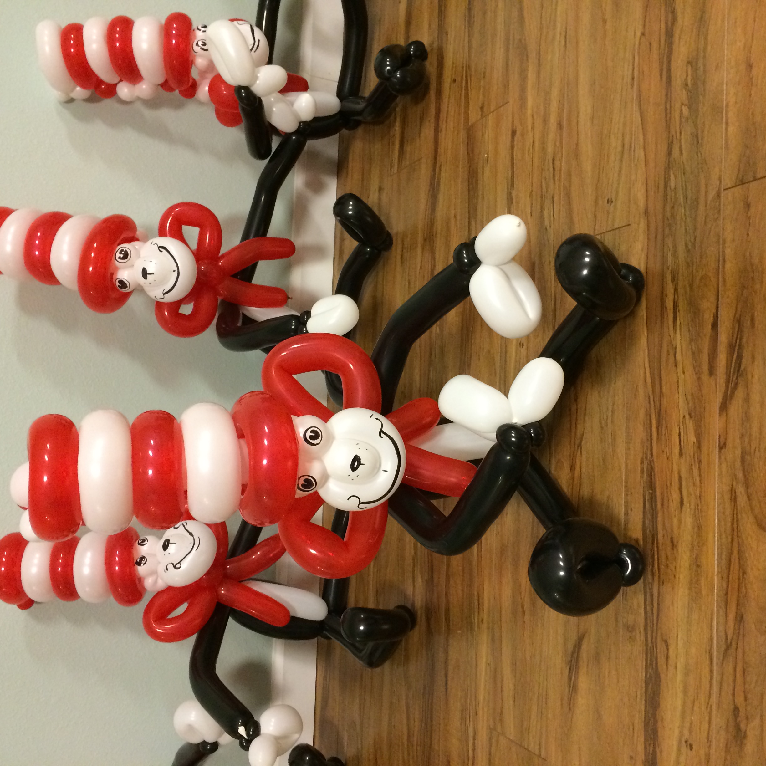 Cat In The Hat Party
