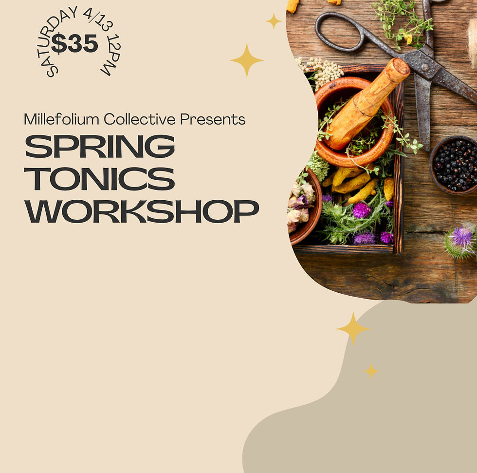 Spring Tonics Workshop
