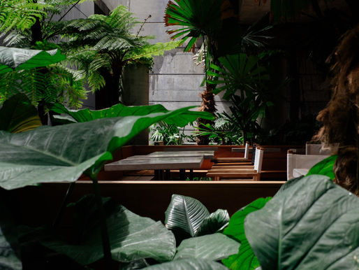 Southside: A Vibrant Pan-Asian Eatery in Brisbane's Town Square Precinct