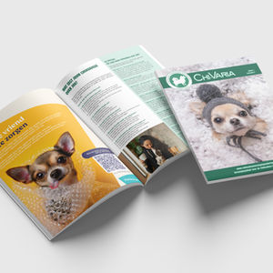 Chihuahua Vereniging Nederland