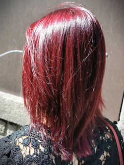 500032275_1480398739969722_4057989963579417475_n