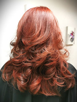 588810177_1649232399753021_8861491204966179885_n