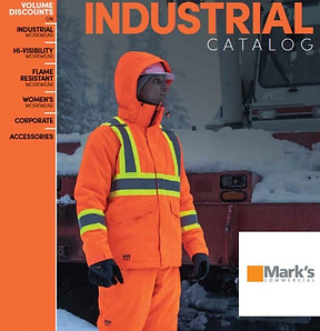 Fall Winter Cat_edited.jpg