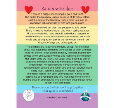 Veterinary Wisdom Rainbow Bridge Educational Enclosure