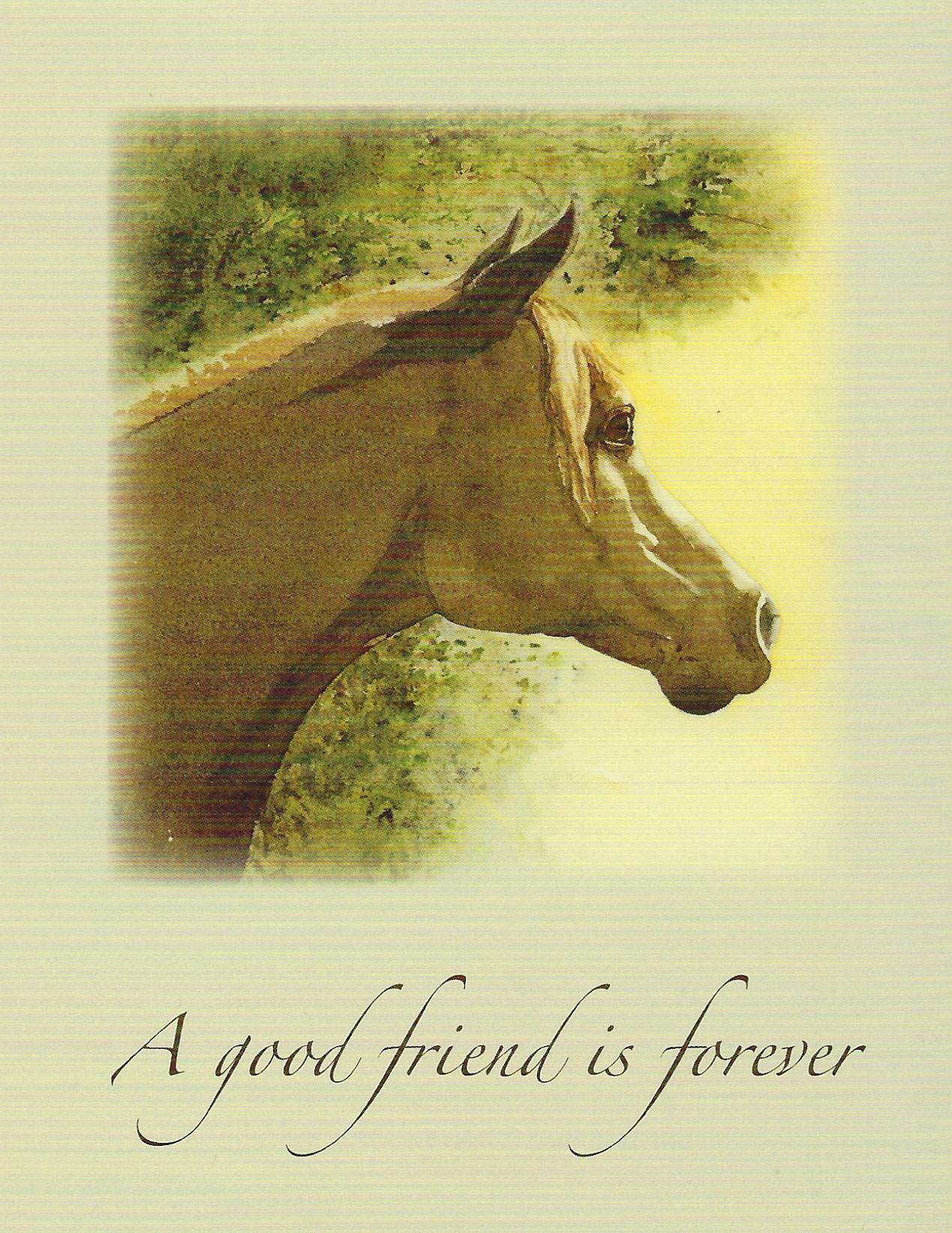 Veterinary Wisdom® S102 Horse Sympathy Card