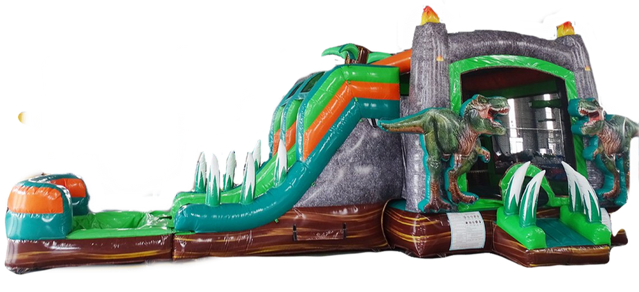 Dino Dive better resolution 2_edited_edited.png