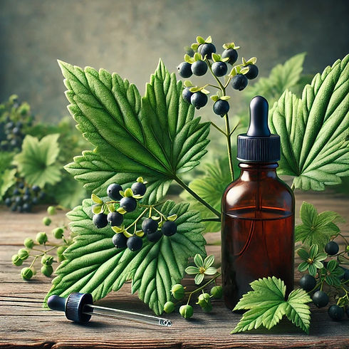 sarsaparilla plant with vibrant green leaves and small berries, placed next to a dark ambe