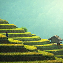 agriculture-1807581_1920.jpg