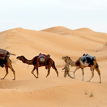 tunisia-733613_1920.jpg