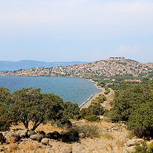 molivos-3717677_1920.jpg