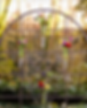 Ceremony Flowers, Freestanding Trellis with Flower Accents, Roses, Tulips, Anemone