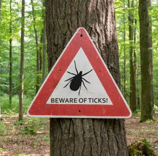 Time for a tick check!!