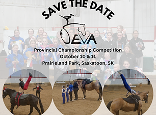 SEVA Prov Show.pdf.png