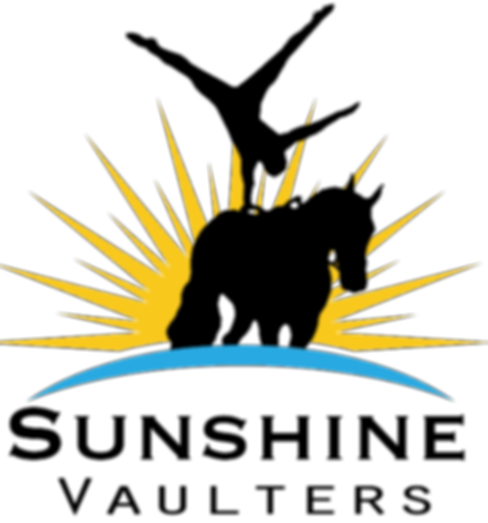 sunshine logo_edited.png