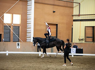 IMG_7008.jpg