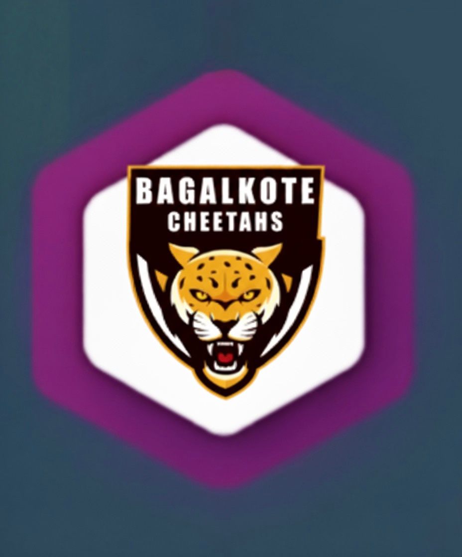 Bagalkote Cheetahs kabaddi team