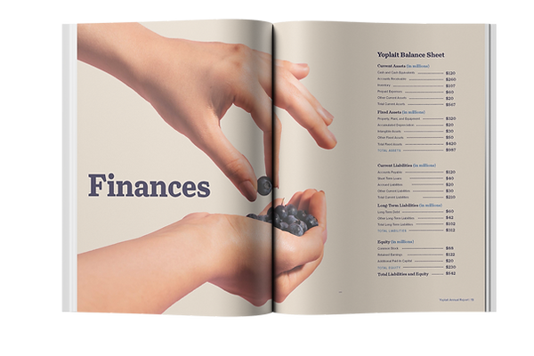 Yoplait Annual Report, Balance Sheet