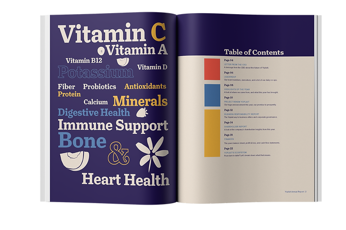 Yoplait Annual Report, table of contents