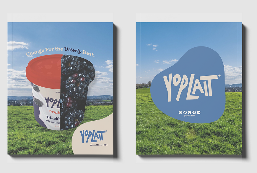 Yoplait Annual Report, front and back cover
