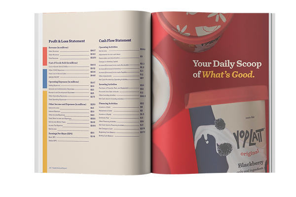Yoplait Annual Report, finance sheet