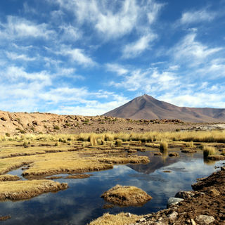 BOLIVIE Sud Lipez et salar d'Uyuni 