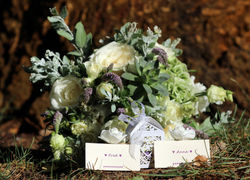 Alexandre Peplaw Photographe