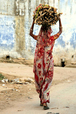 Alexandre Peplaw Photographe