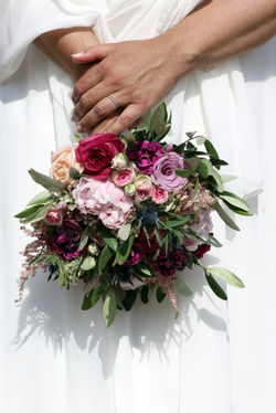 Alexandre Peplaw Photographe