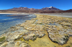 Alexandre Peplaw Photographe