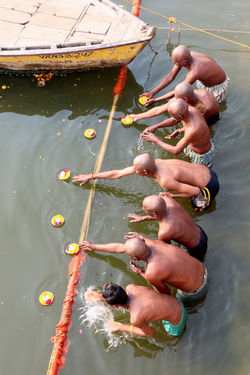 Alexandre Peplaw Photographe