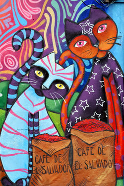 Alexandre Peplaw Photographe