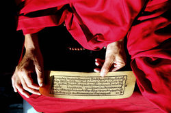 Alexandre Peplaw Photographe