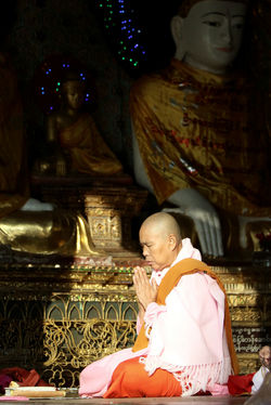 Alexandre Peplaw Photographe