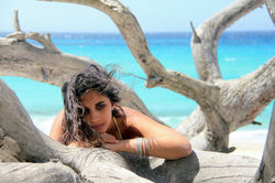 Alexandre Peplaw Photographe