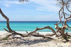 Alexandre Peplaw Photographe