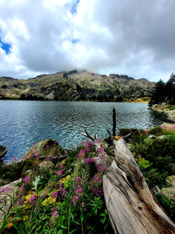 Alexandre Peplaw Photographe